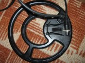 IMG_2702.jpg