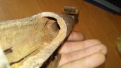 20160529_132805.jpg