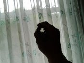 IMG_20160531_110441.jpg