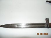 DSC05230.JPG