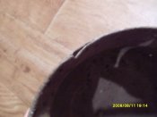 SDC11402.JPG