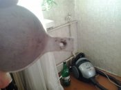 2016-06-01 18.53.06.jpg