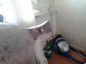 2016-06-01 18.53.12.jpg