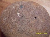 SDC11360.JPG
