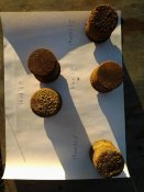 20160601_194326.jpg