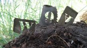 20160603_104208.jpg