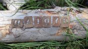 20160603_114256.jpg