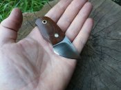 20160603_183949.jpg