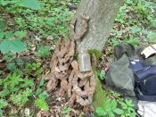 DSCN1077.JPG
