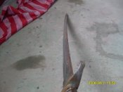 SDC11314.JPG