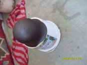 SDC11448.JPG