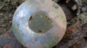 20160604_103308.jpg