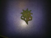 16022011546.jpg