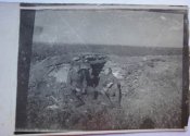 x_1ad13997.jpg