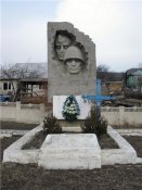 стелла.jpg
