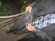 IMG_1791.JPG