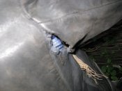 IMG_1794.JPG