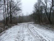 DSCF8015.jpg
