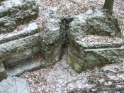 DSCF8019.jpg