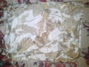 IMG_20160222_203857.jpg