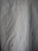 IMGP0735.JPG