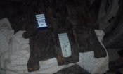 IMG_20160609_215208.jpg