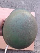 20160609_190505.jpg