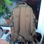 IMG_20160611_155928.jpg