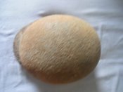 DSC01451.JPG