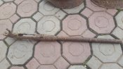20160611_132254.jpg