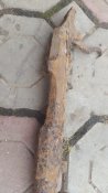 20160611_132301.jpg