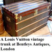 637_lv_trunk_medium.jpg