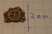 DSC06748_001.JPG