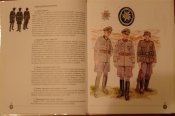 DSC03833 (Small).JPG