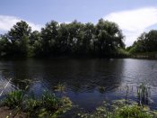 DSCF0709.jpg