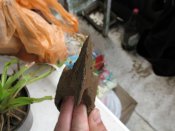 IMG_1839.JPG