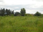DSCN4753.JPG