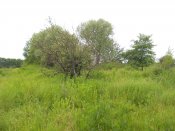 DSCN4755.JPG