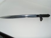 SL376775.JPG