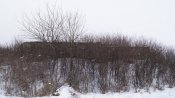 DSC01079_новый размер.JPG