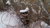 DSC01080_новый размер.jpg