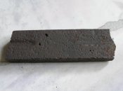 P1010017.JPG