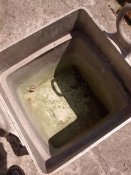 IMG_20160614_134342172.jpg