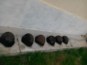 IMG_20160610_120554.jpg