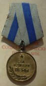 Вена+док.JPG