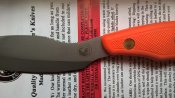 WP_20160615_11_25_13_Pro.jpg