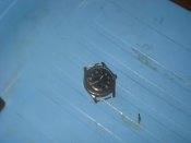 DSC02225.jpg