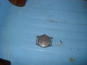 DSC02229.jpg