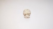 20160616_084246.jpg