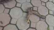 20160616_142054.jpg